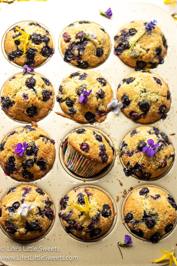 Jordan Marsh Blueberry Muffins Recipe with flowers