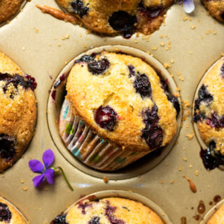Jordan Marsh Blueberry Muffins Recipe