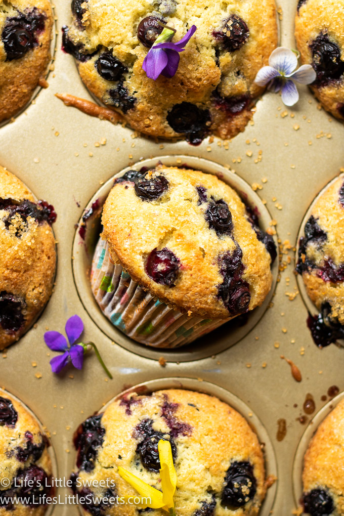 Jordan Marsh Blueberry Muffins Recipe up close
