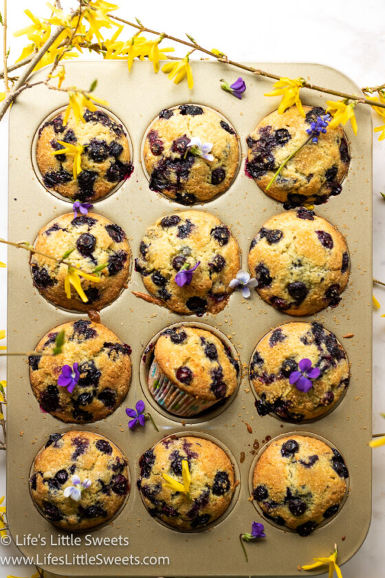 Jordan Marsh Blueberry Muffins Recipe Life's Little Sweets