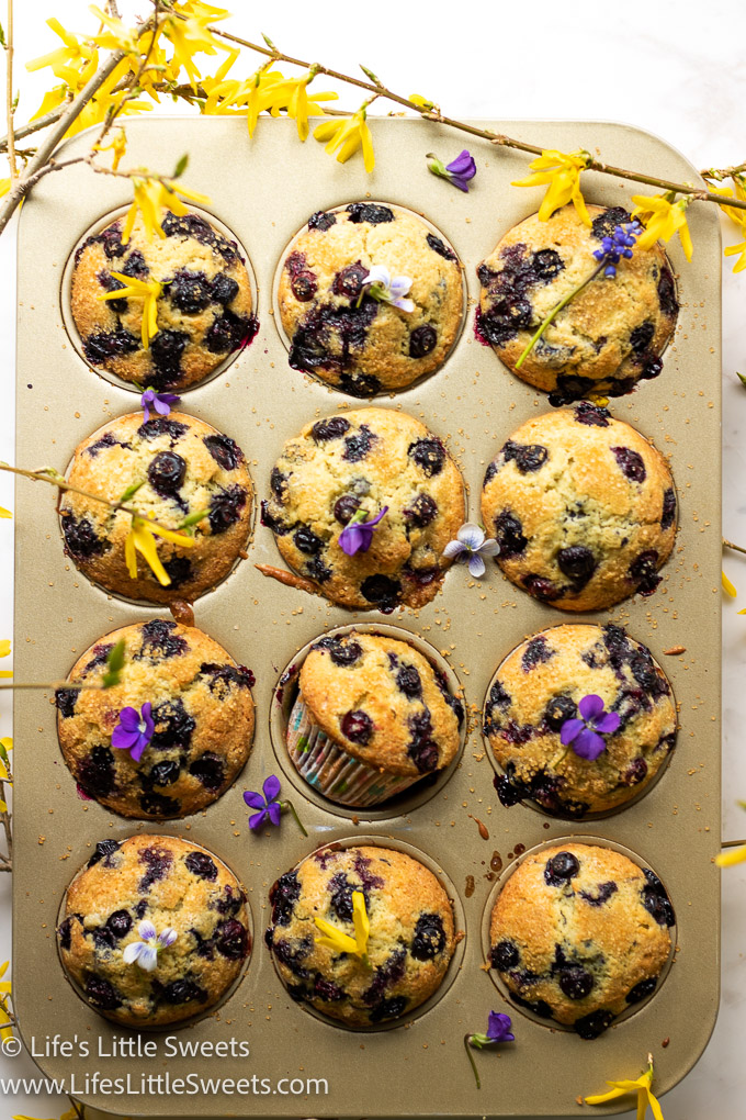 Blueberry Muffins overhead view with spring flowers
