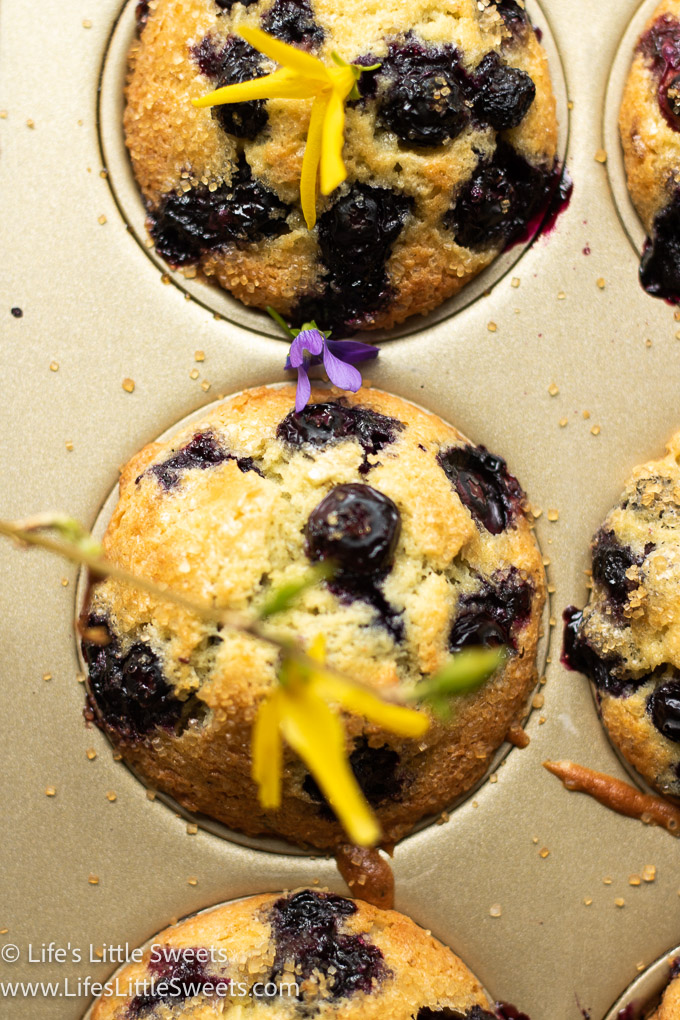 Jordan Marsh Blueberry Muffins Recipe