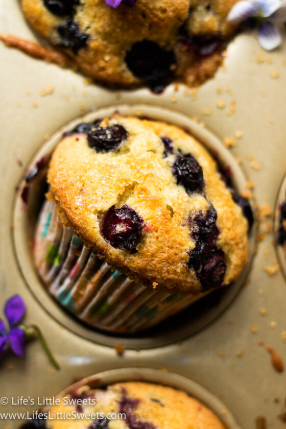 Jordan Marsh Blueberry Muffins Recipe Life's Little Sweets