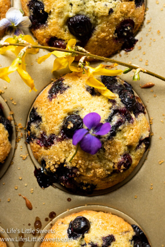Jordan Marsh Blueberry Muffins Recipe Life's Little Sweets