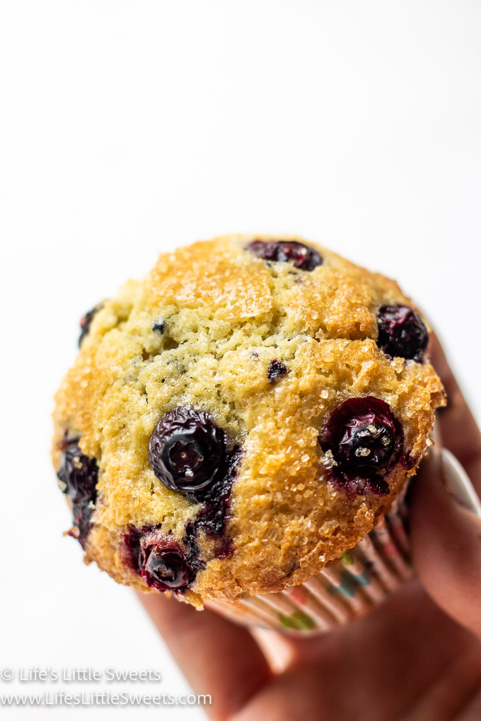 hand holding a Blueberry Muffin