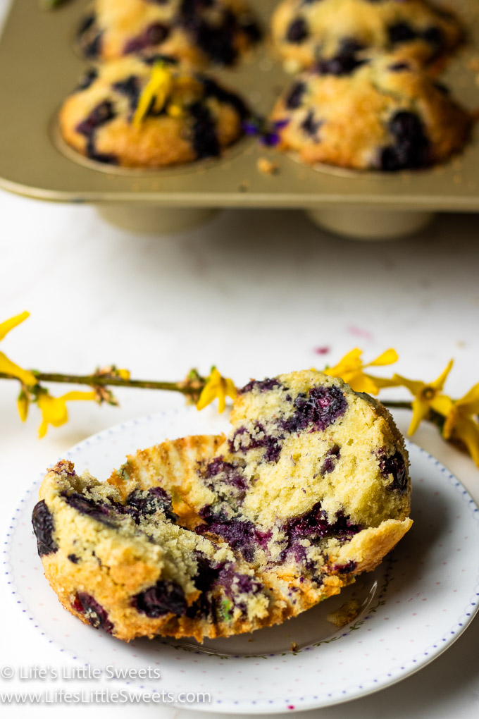 Jordan Marsh Blueberry Muffins Recipe on a plate cut in half