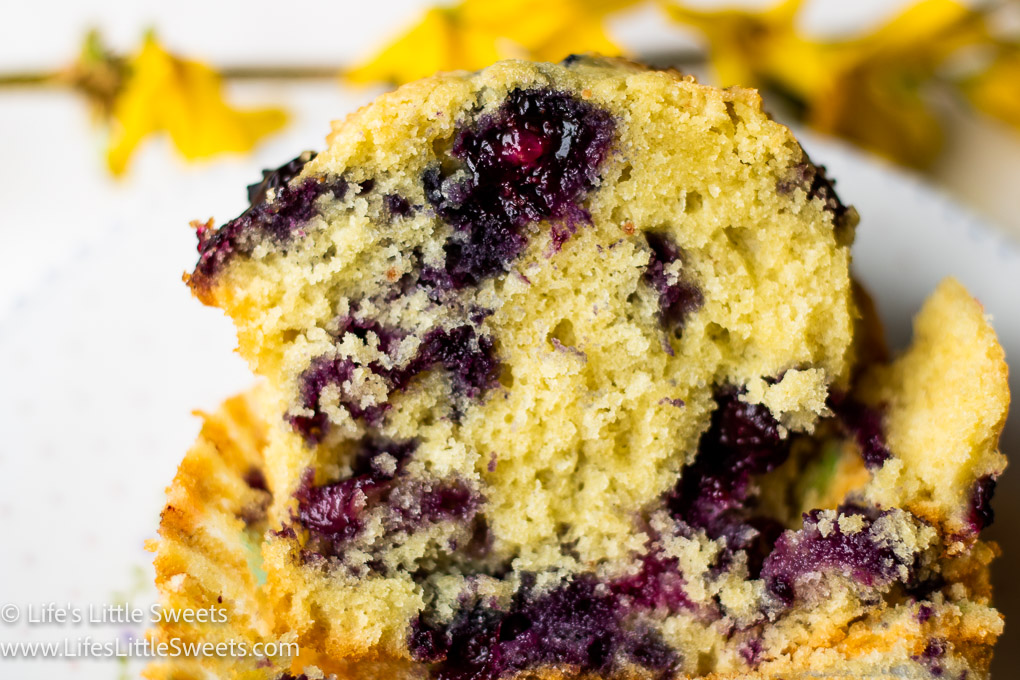 Jordan Marsh Blueberry Muffins Recipe Life's Little Sweets