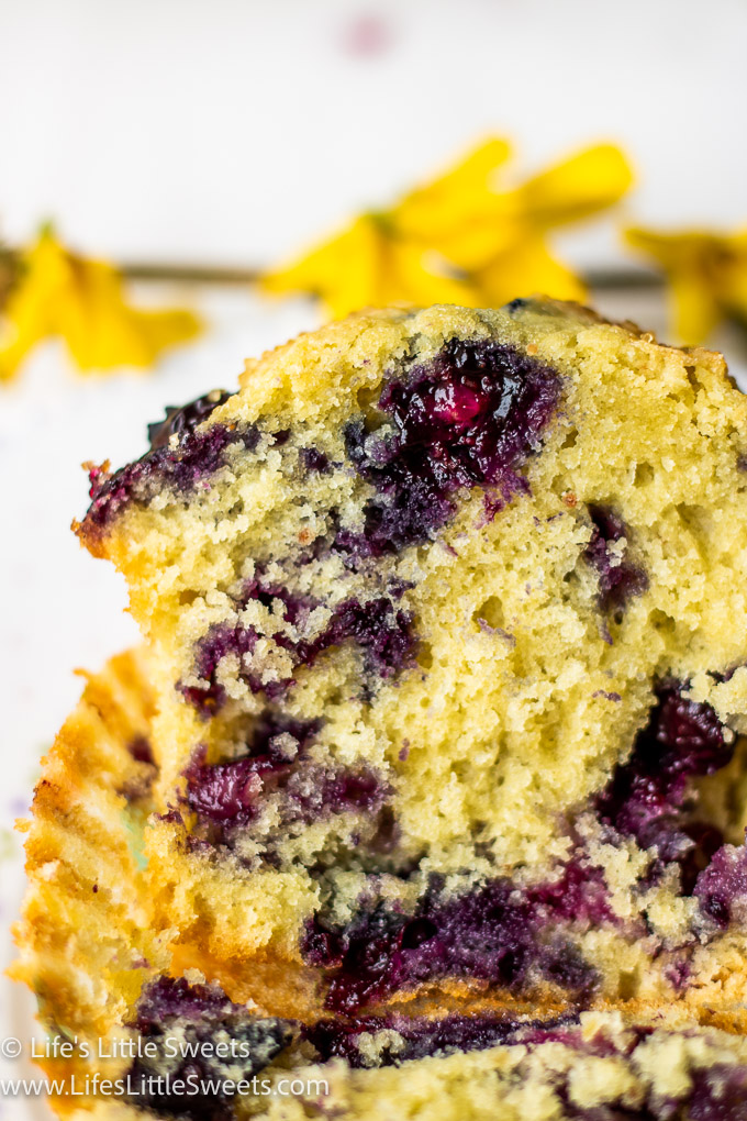 Jordan Marsh Blueberry Muffins Recipe with spring flowers