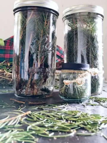 DIY Pine Mason Jars Story Poster Image