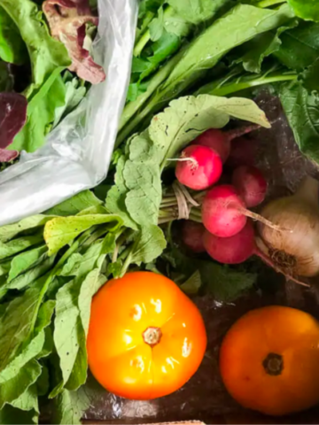How to Reduce Food Waste Story Poster Image
