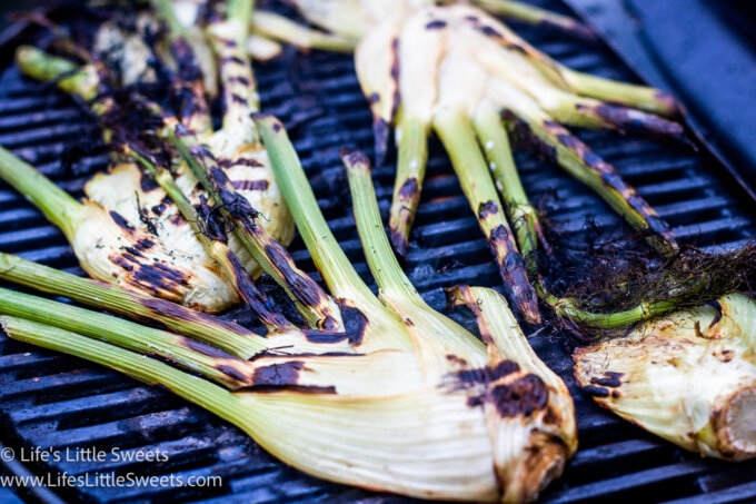 fennel grilling