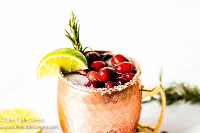 a bright photo of a holiday gin mule with cranberries
