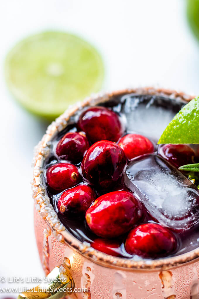 a cold drink in a copper mug that has lime and cranberries