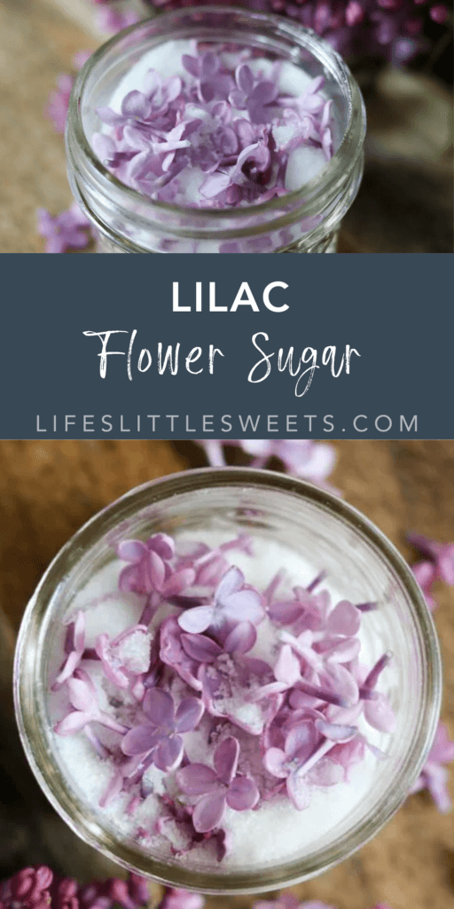 Lilac Flower Sugar - Edible Flowers, Lilac Blossoms, Sugar, 2-Ingredient with text overlay