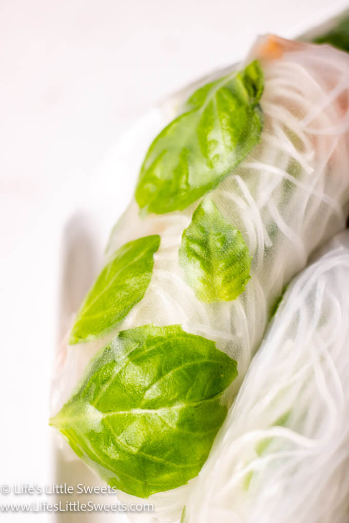 basil and vermicelli fresh spring roll close up photo