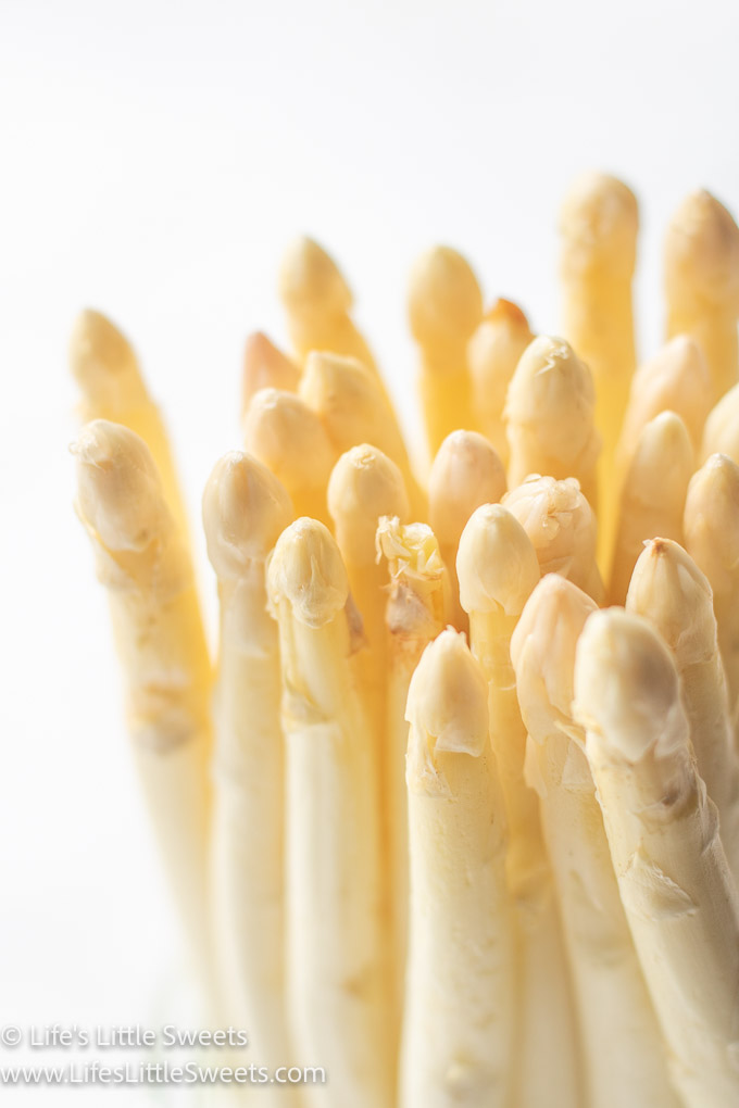 fresh white asparagus with a white background