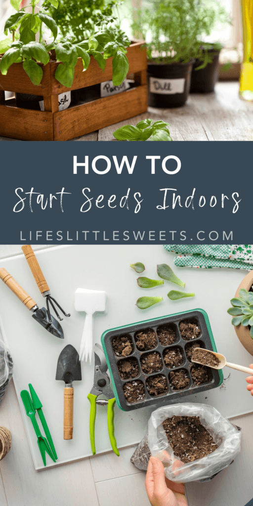 how to start seeds indoors