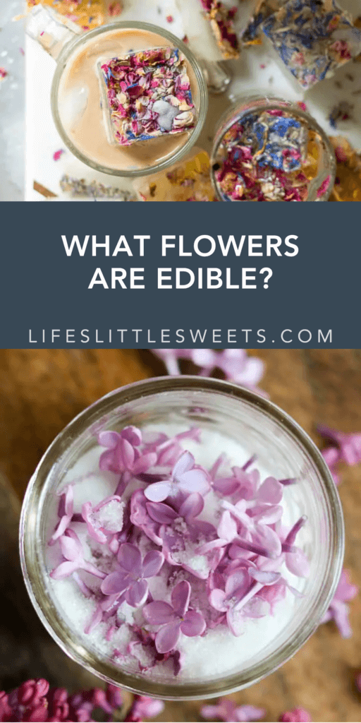 what flowers are edible with text overlay