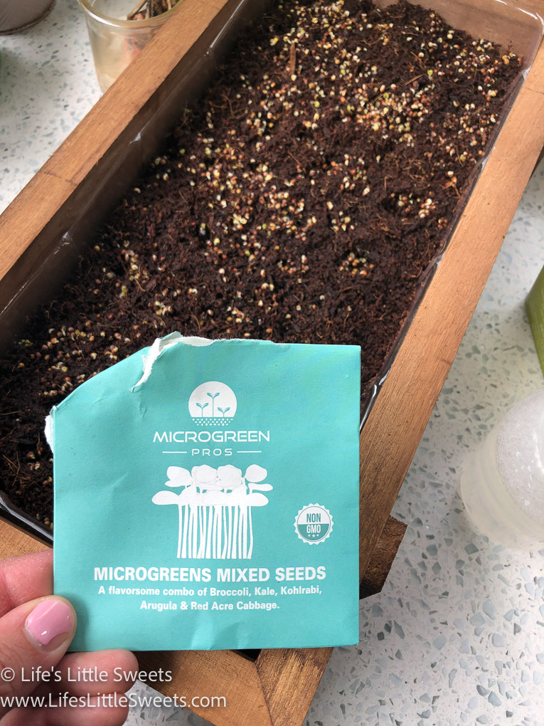 How To Grow Microgreens Life's Little Sweets