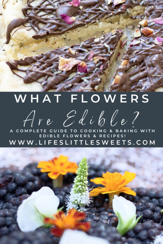 A Pinterest pin with text and 2 photos of desserts with edible flowers