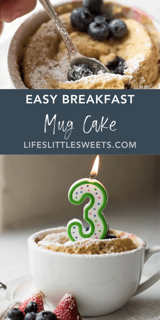 Easy Mug Cake (Kodiak Cakes) with text overlay