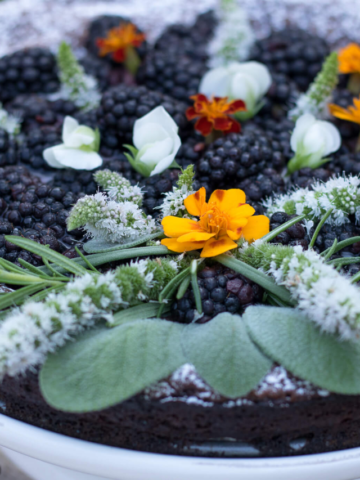 CHOCOLATE CAKE RECIPES STORY Poster Image