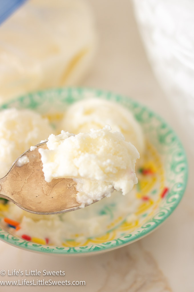 a spoonful of plain, homemade vanilla ice cream