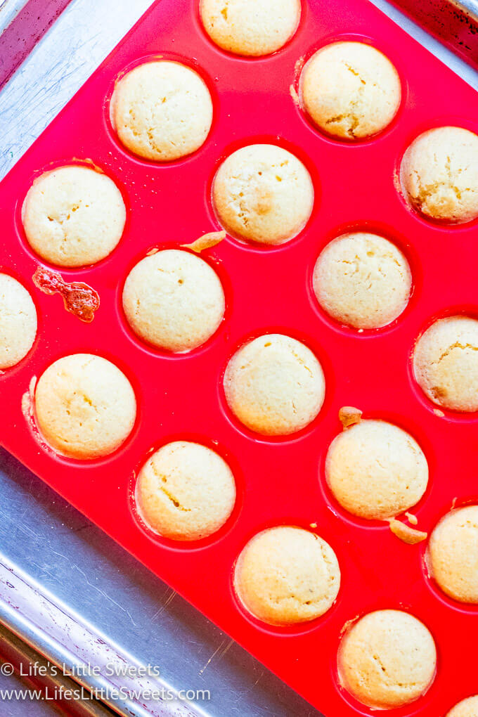 Mini muffins in a tray