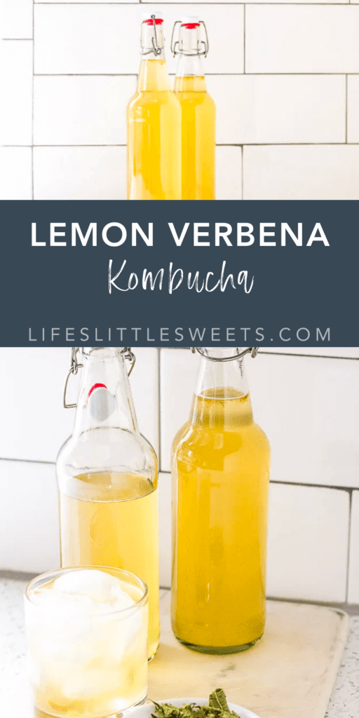 lemon verbena kombucha with text overlay