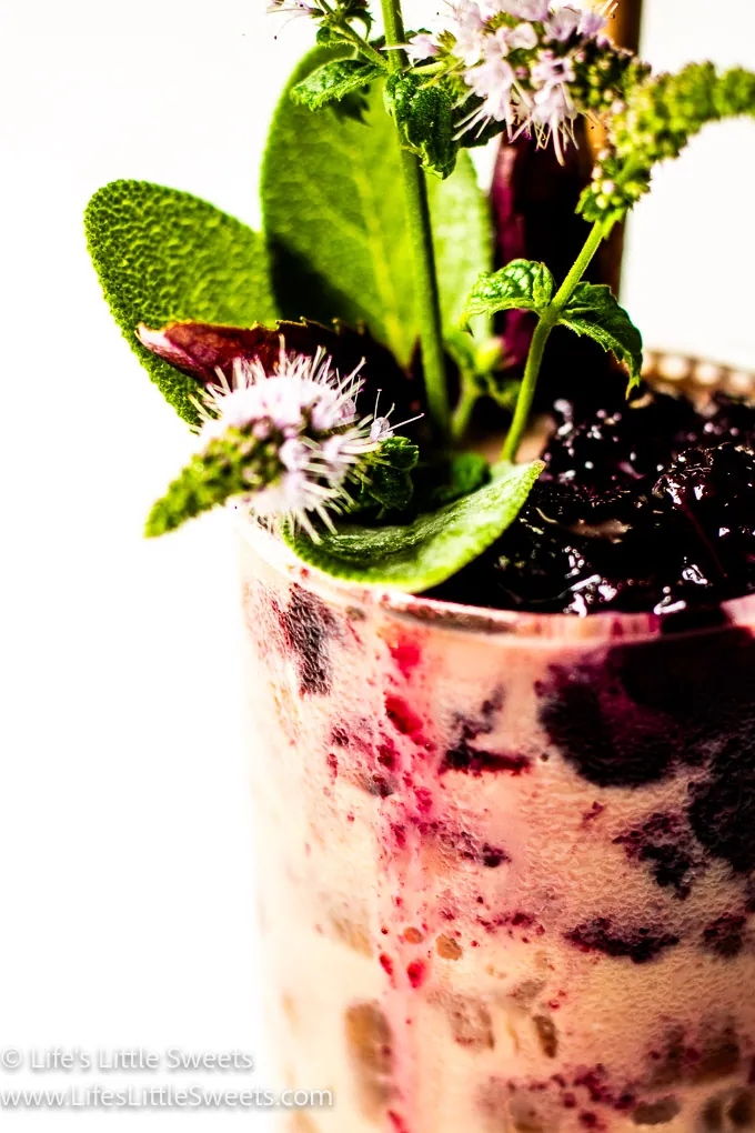 Blueberry Iced Coffee closeup