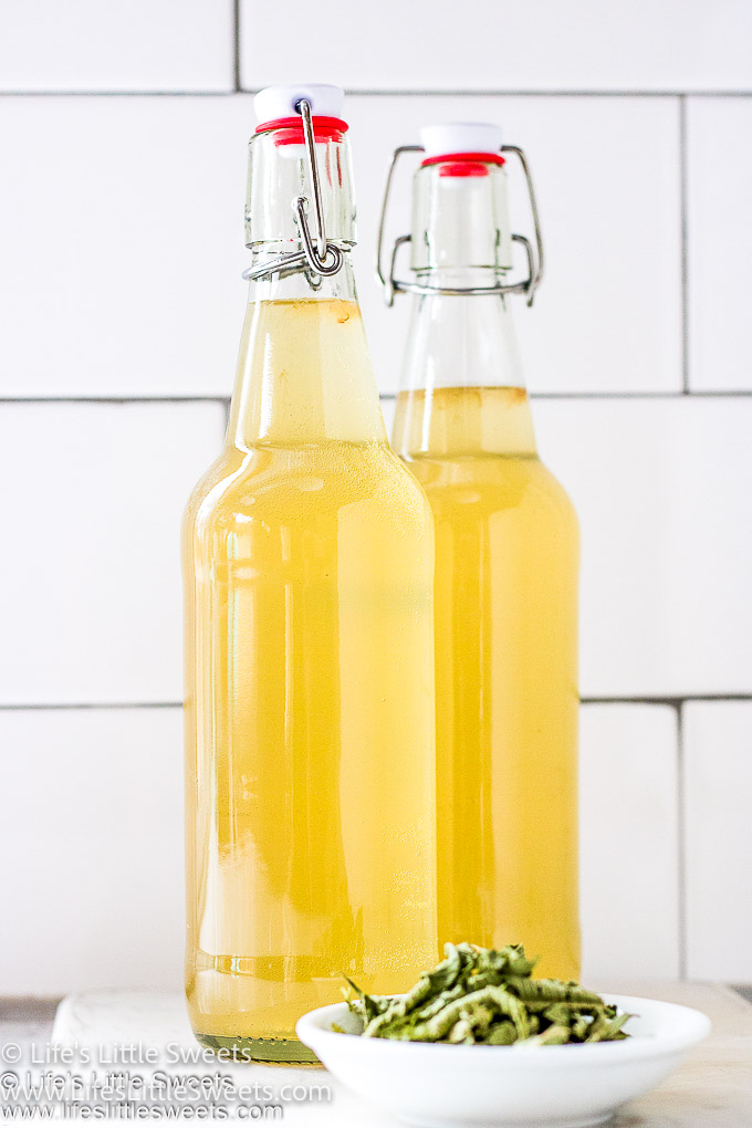 Lemon Verbena Kombucha in glass bottles