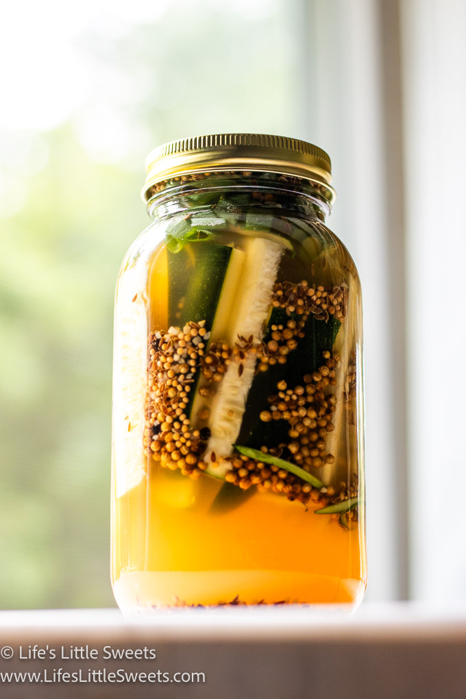 Pickled Zucchini in a glass jar with water, vinegar and pickling spices