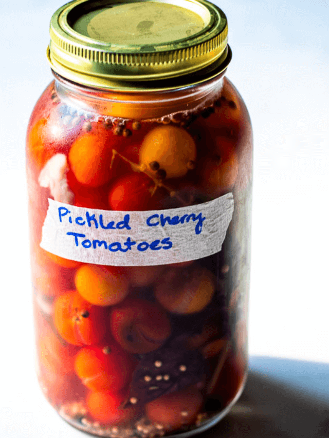PICKLED TOMATOES STORY