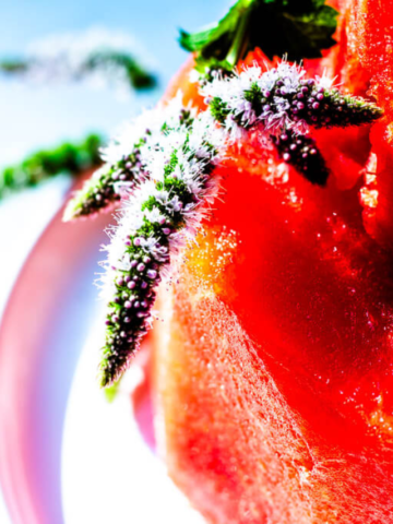 WATERMELON CAKE STORY Poster Image