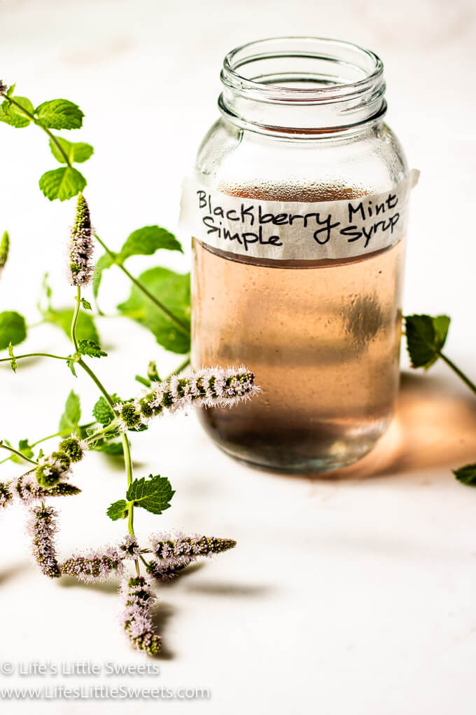 apple mint with simple syrup in a mason jar