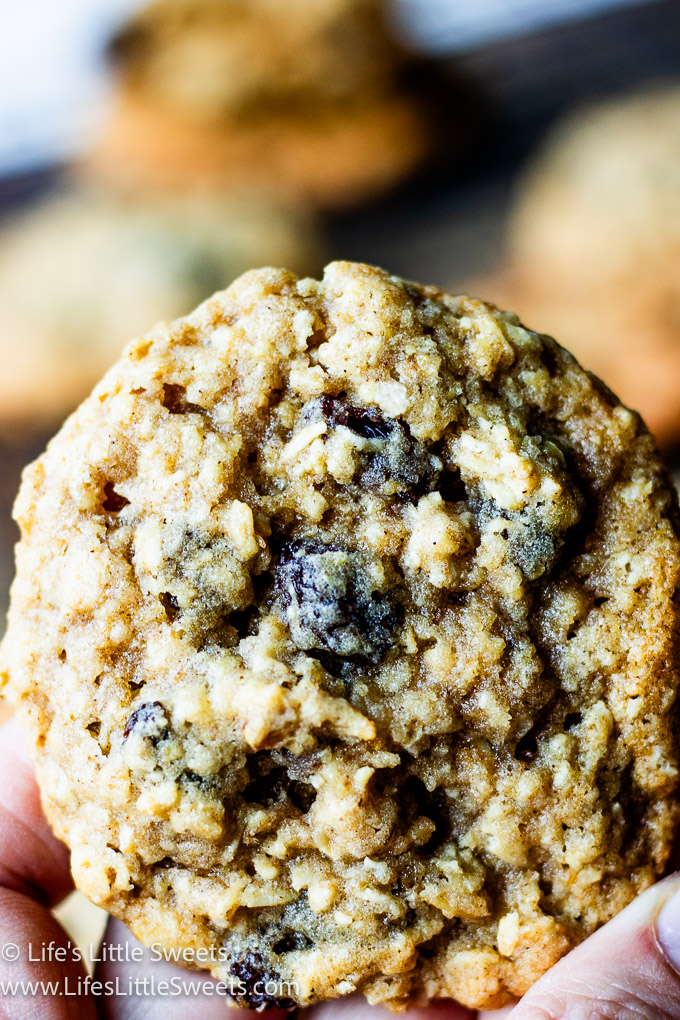 Oatmeal cookie up close