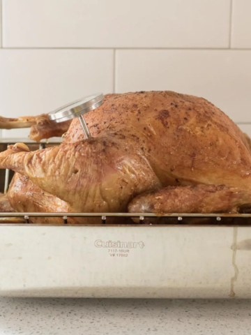 BEST TO ROAST A TURKEY STORY Poster Image