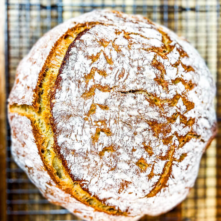 Image for Sourdough Starter Troubleshooting