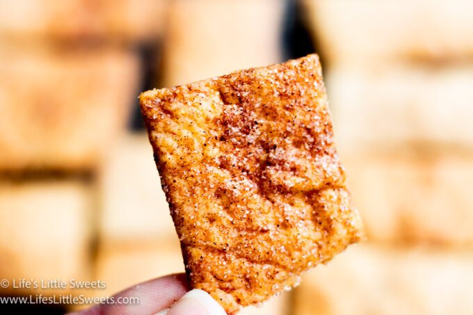 crackers with cinnamon sugar