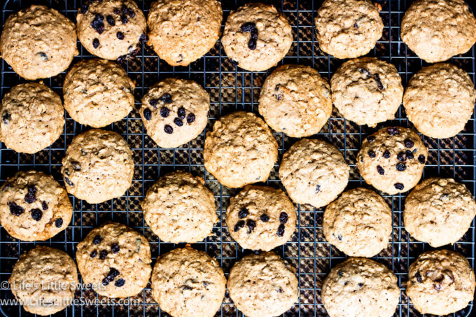 an overhead view of oatmeal cookies