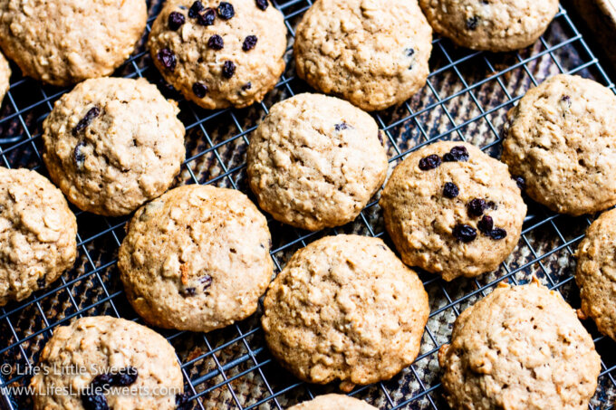oatmeal cookies with currants on top