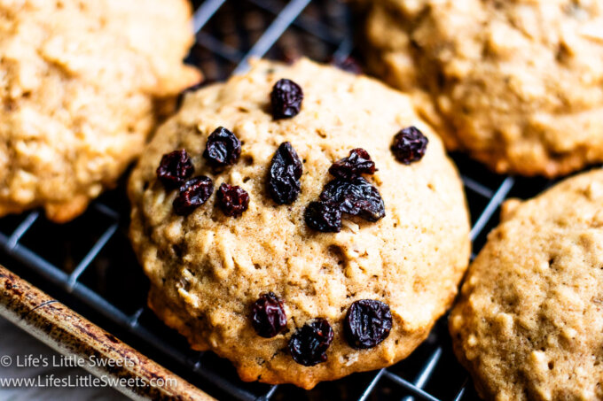 an oatmeal cookie with currants on top